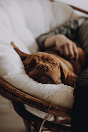 Role of your sleeping position in getting a good nights sleep