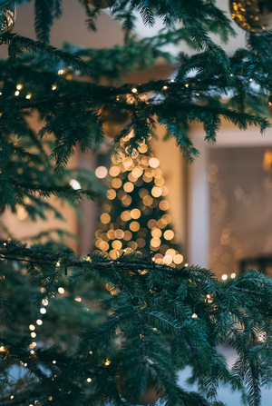How to get into the Christmas feel ✨