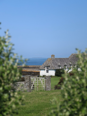 Design Inspiration from Irish Homes: A Journey Through Cozy Elegance
