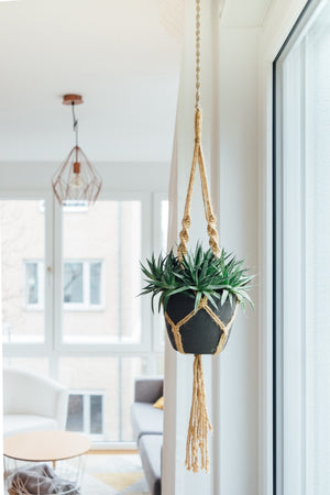 How to use macrame hanging plants when decorating your home