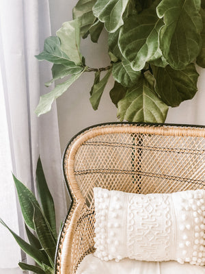 Why Rattan chair in your home is essential in 2023