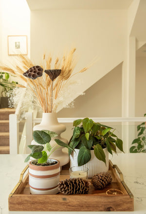 How to pick the right ottoman tray