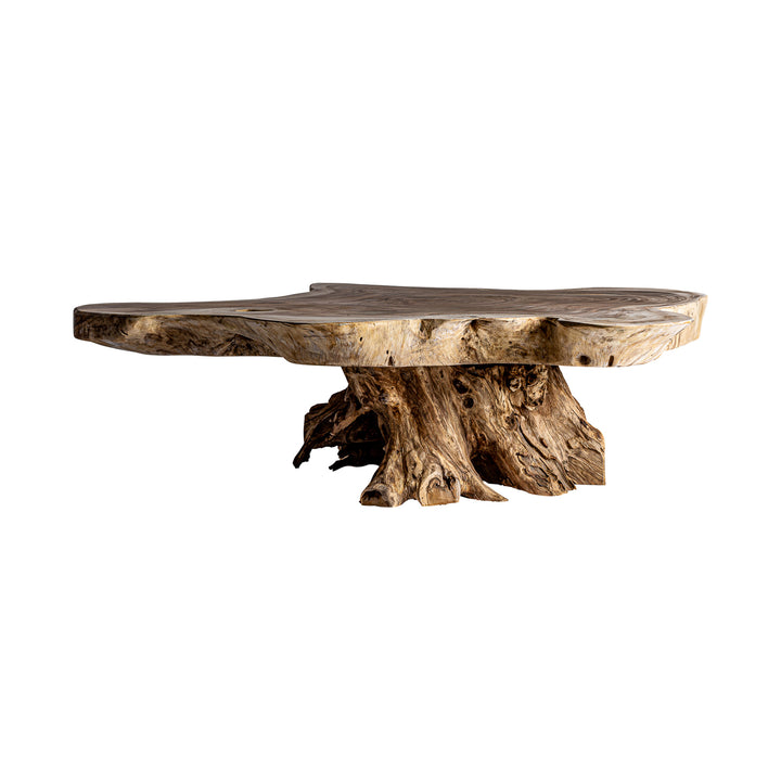 AHRAS COFFEE TABLE