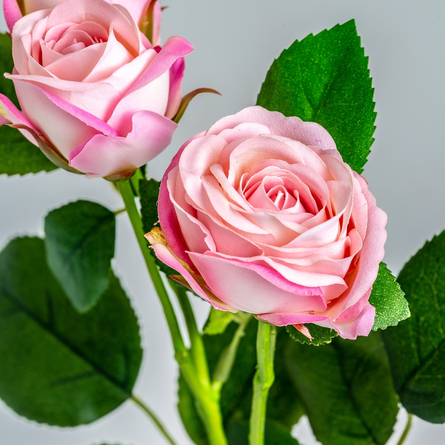 Artificial Rose Plant – Pink Botanical Decor
