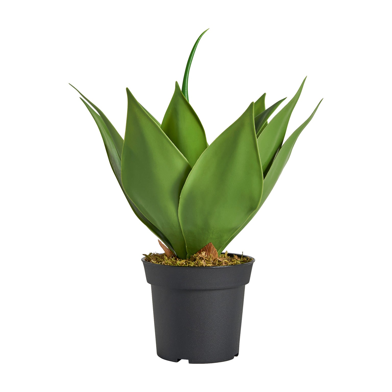 LOTSEN Artificial Lotus Plant