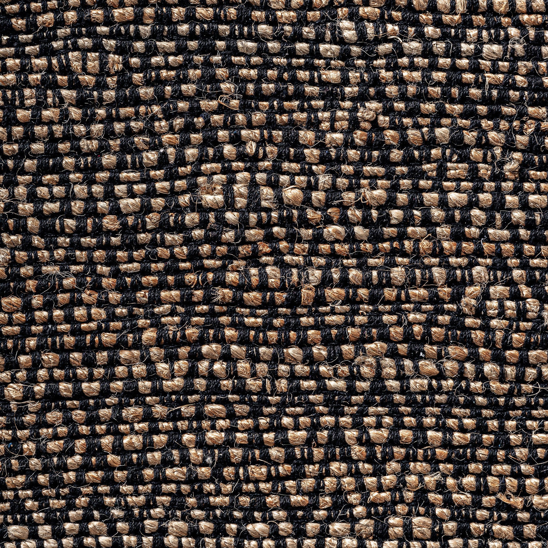 ELARA CARPET