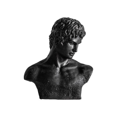 HELIOS BUST