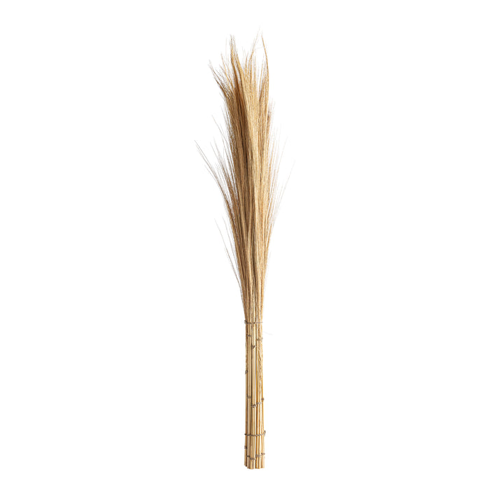 LEASHE BRANCHES