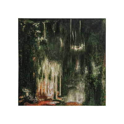ALERCE CANVAS