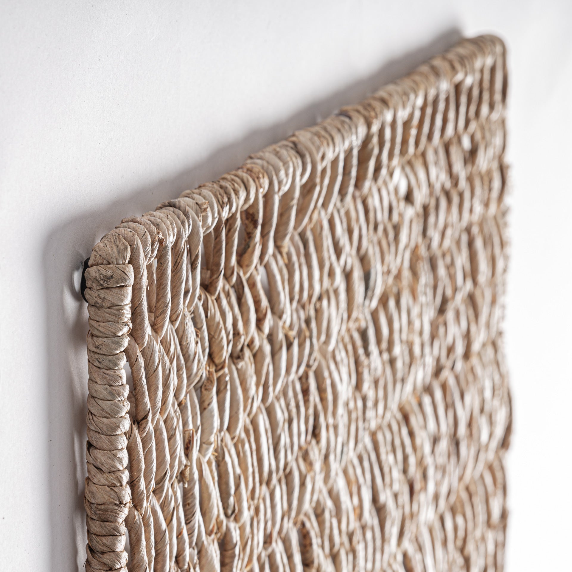 Natural Banana Tree Wall Art with Iron Frame