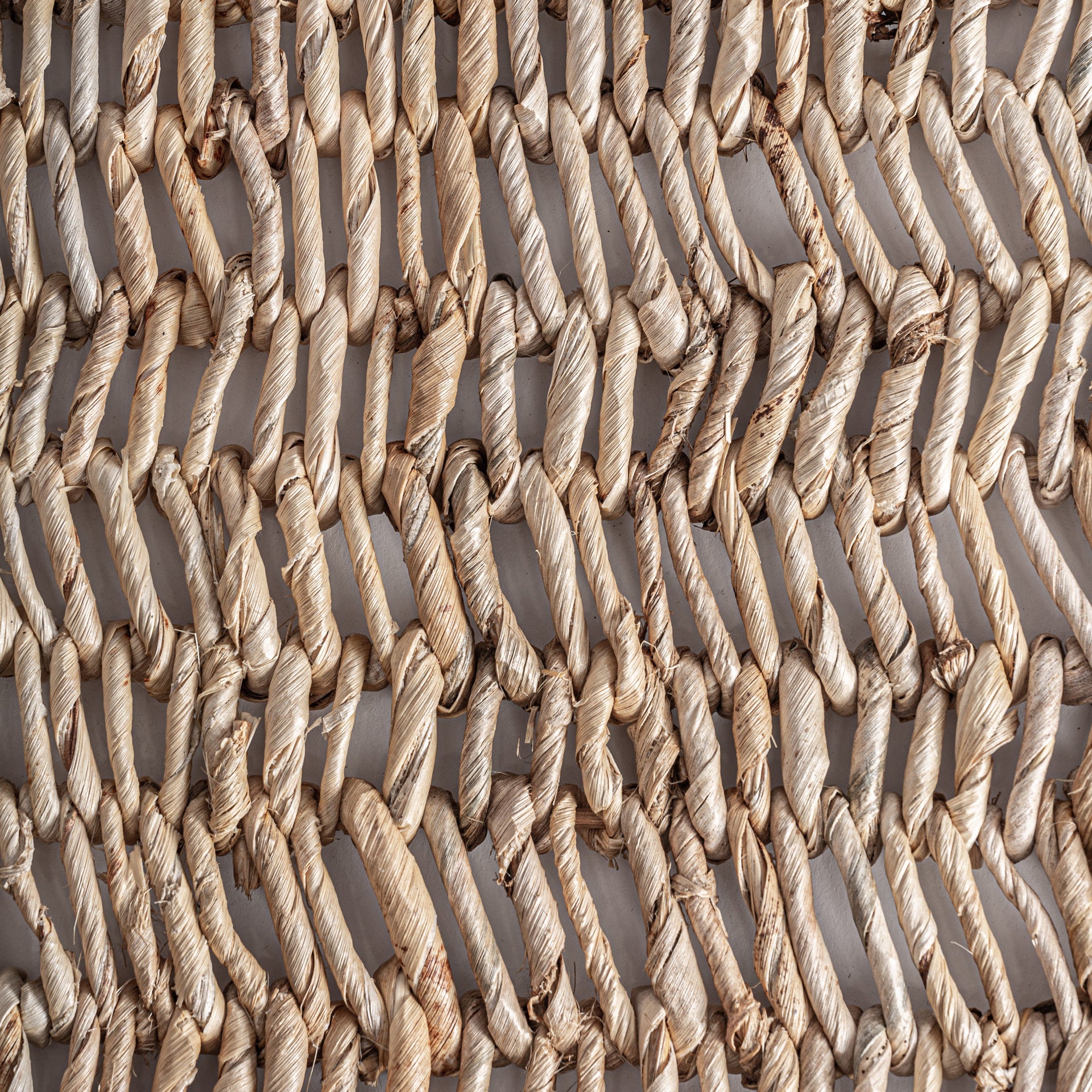 Natural Banana Tree Wall Art with Iron Frame
