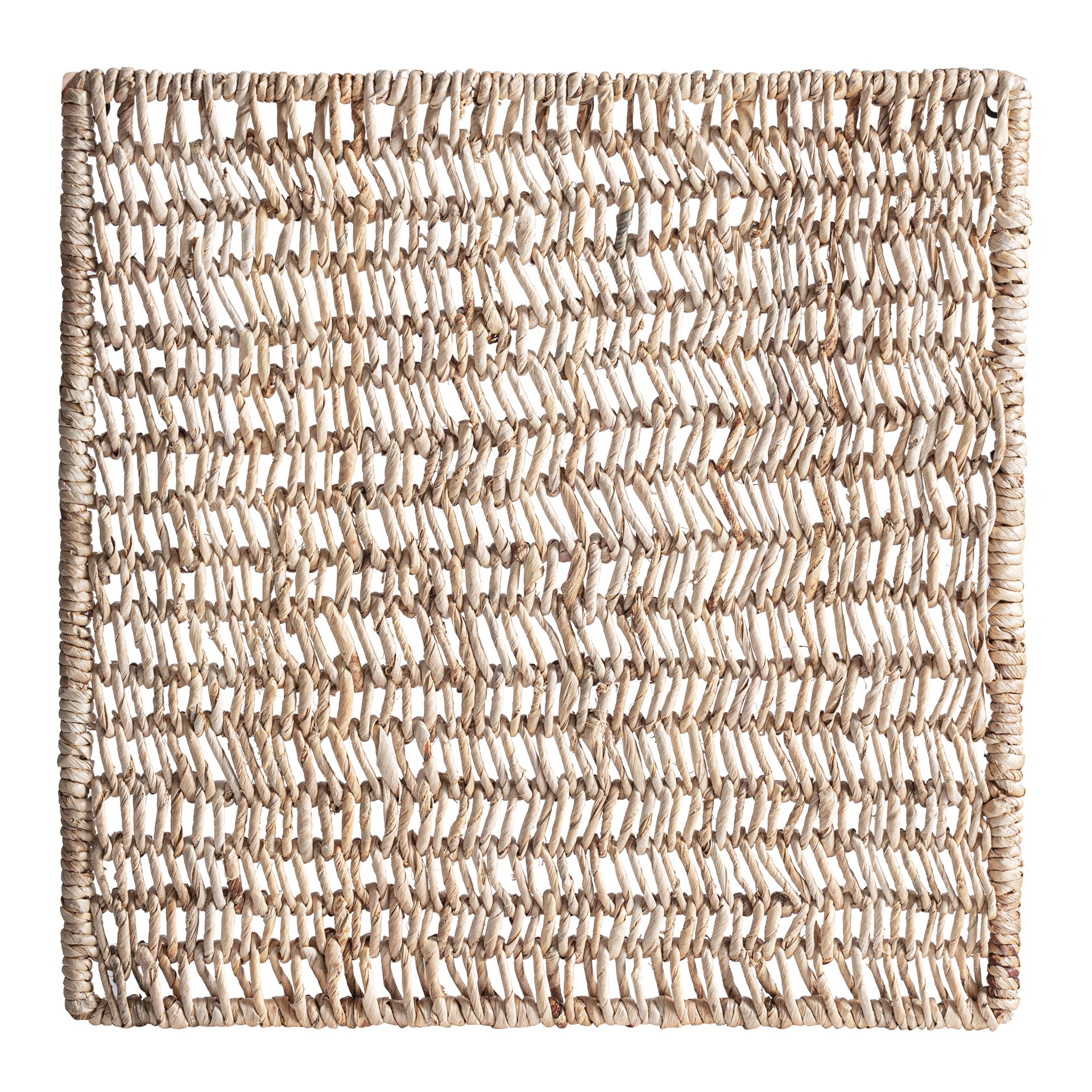 Natural Banana Tree Wall Art with Iron Frame