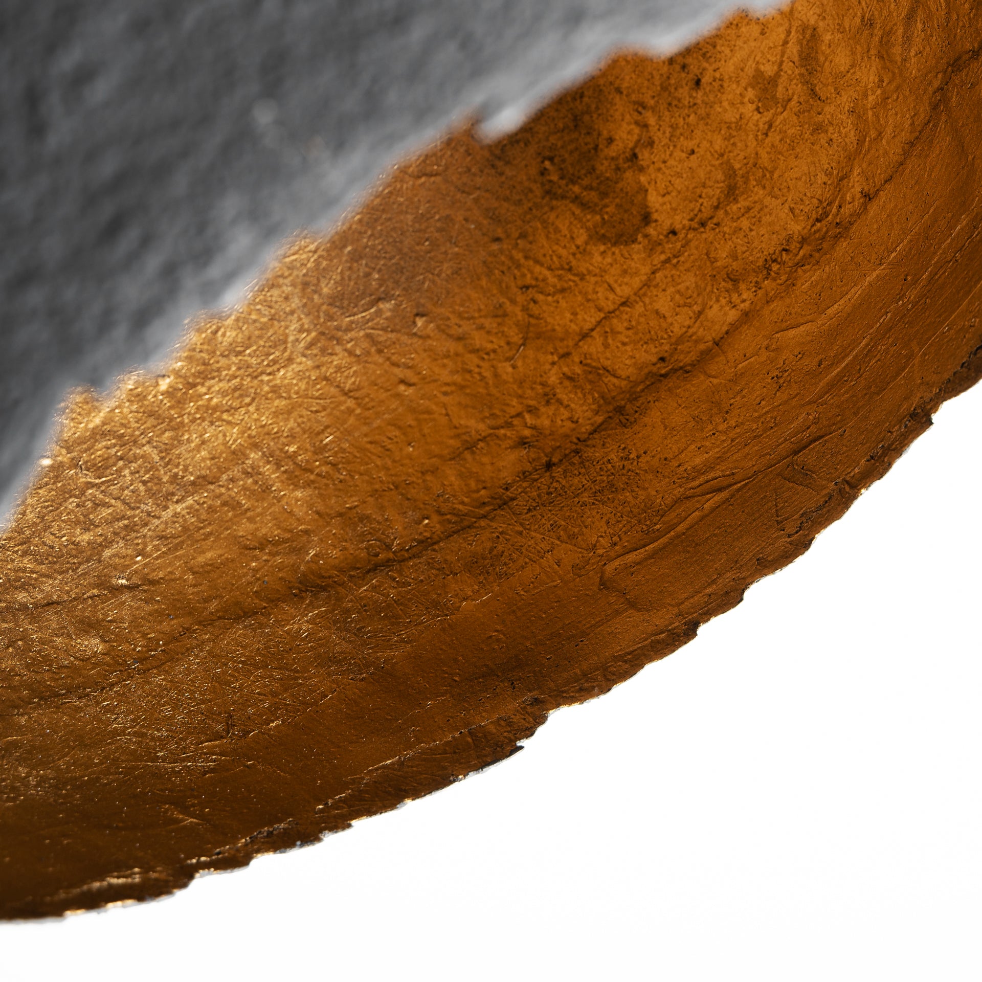 Gull Contemporary Ceiling Lamp in Black Resin & Gold Metal