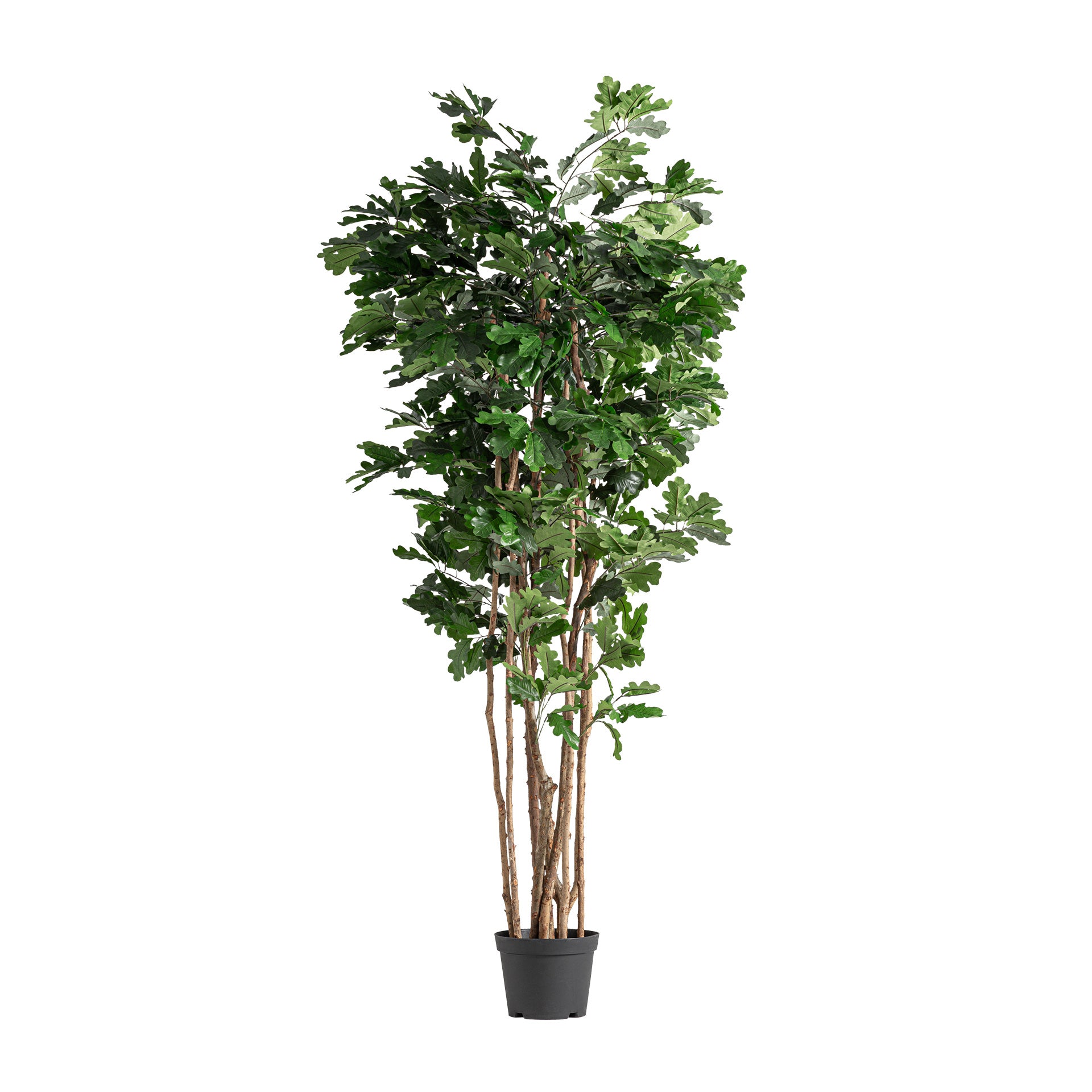 Lind Faux Plant in Green with Brown Wood Pot