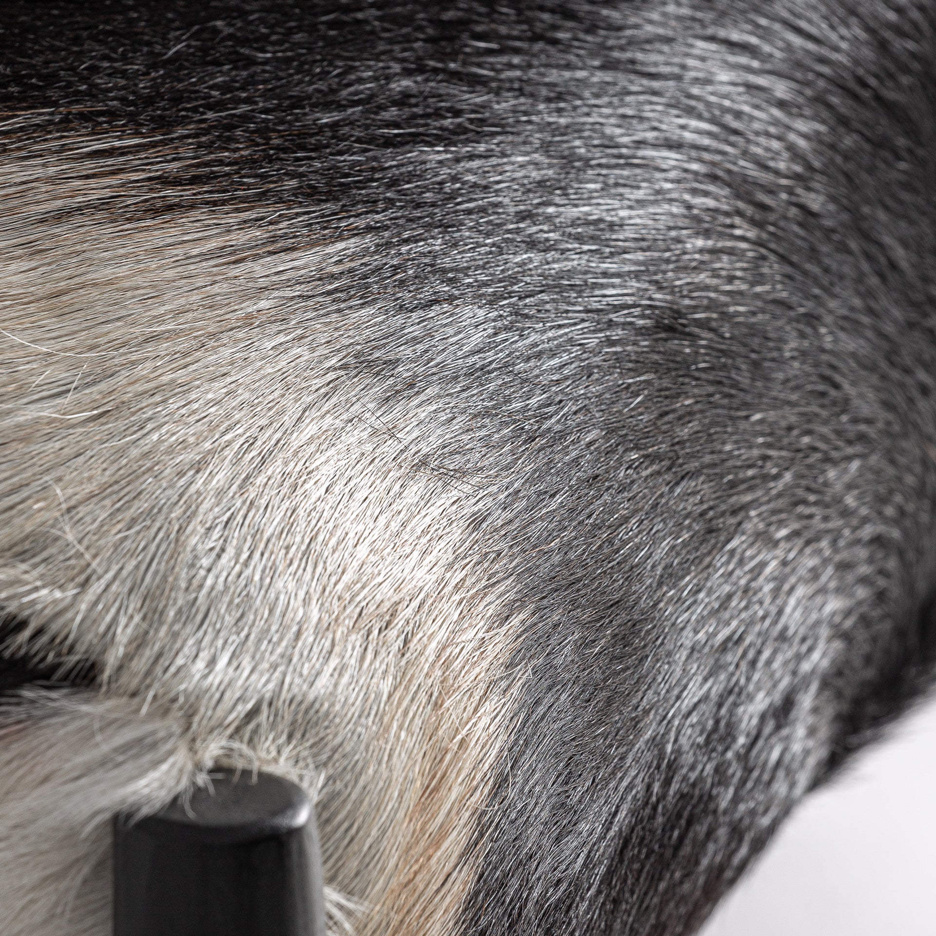 Mier modern fåtölj - teakträ och vitt läder