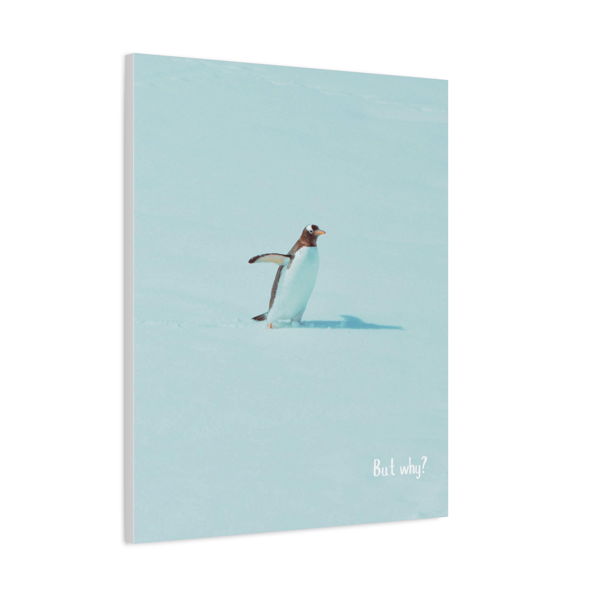 "But Why?" - Inspirational Viral Penguin Matte Canvas, Stretched, 1.25"