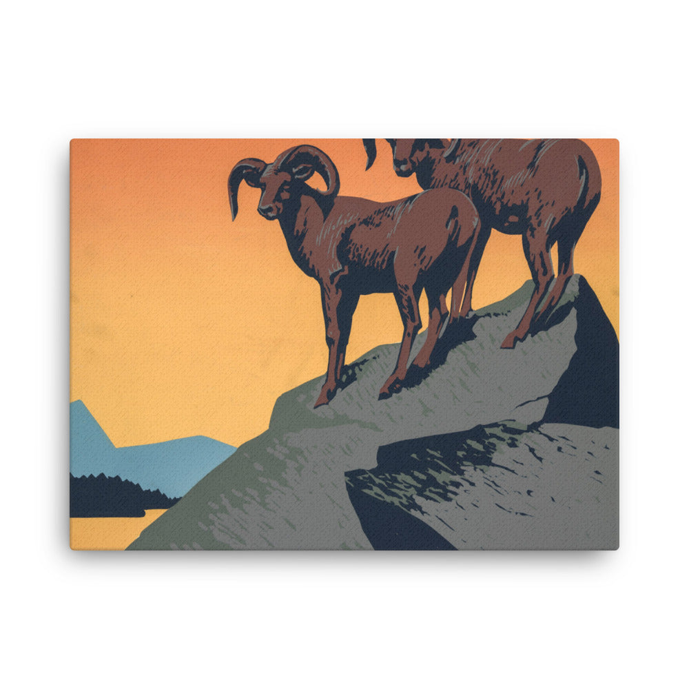 Skydda våra nationalparker - gammal propagandaduk