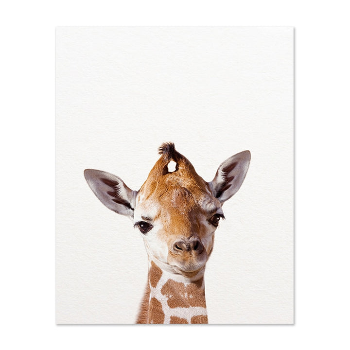 Safari Baby Animals Art