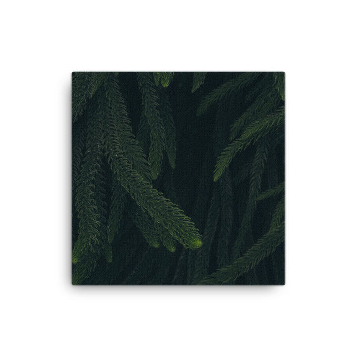 Deep woods Canvas print