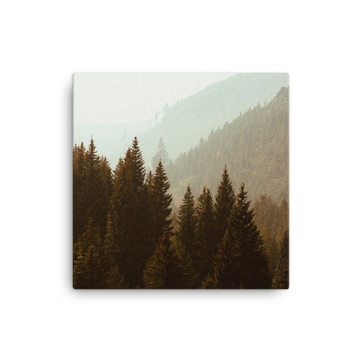 Misty Wood Canvas Print