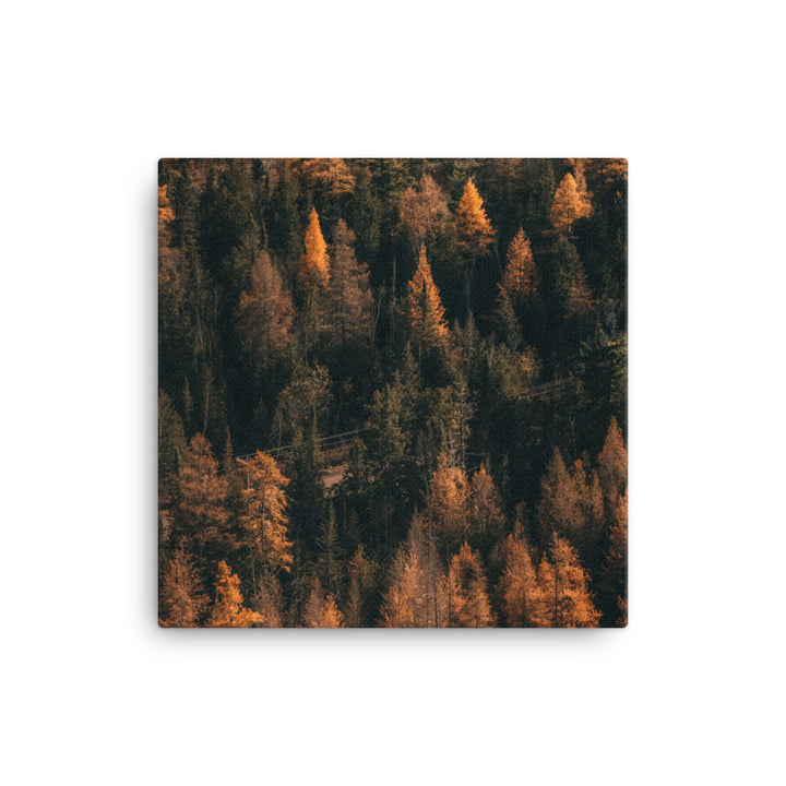 October Woods Canvas