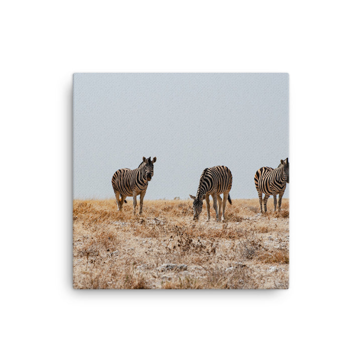 Zebras Canvas