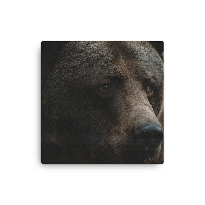 King Of The Forest Canvas