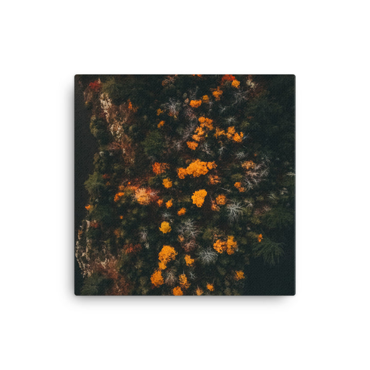 Walk in Forest Canvas
