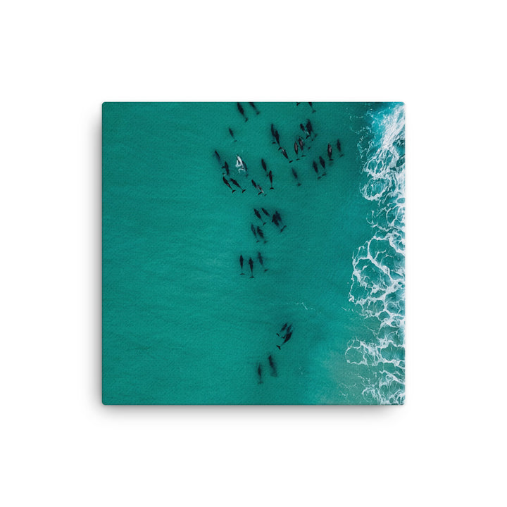 Migration Canvas