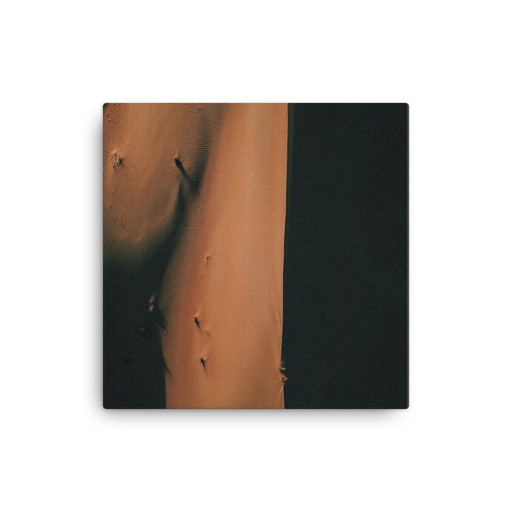 Dunes Canvas