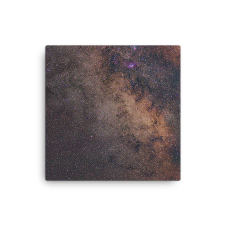 Stargazing Canvas
