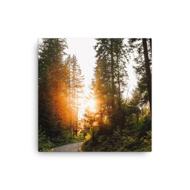Summer Road Canvas