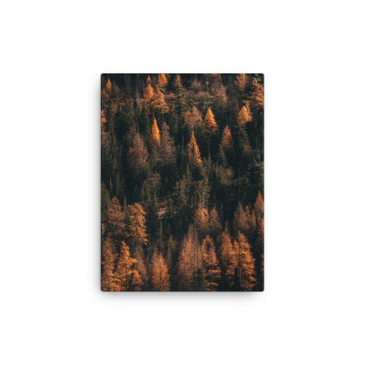 October Woods Canvas