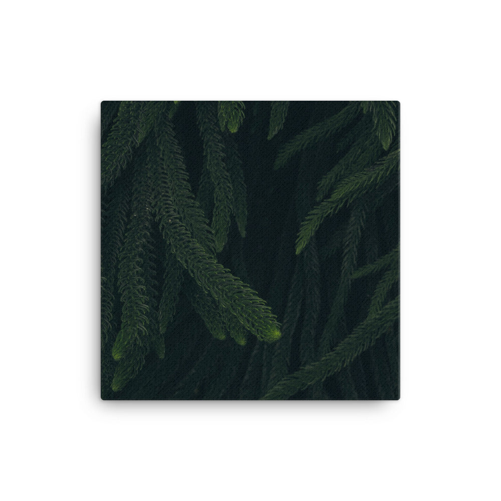 Deep woods Canvas print