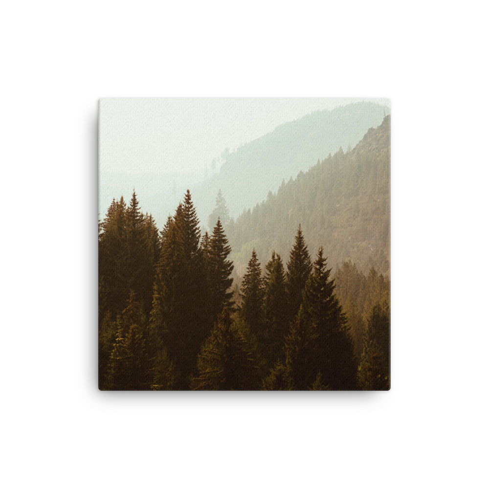 Misty Wood Canvas Print