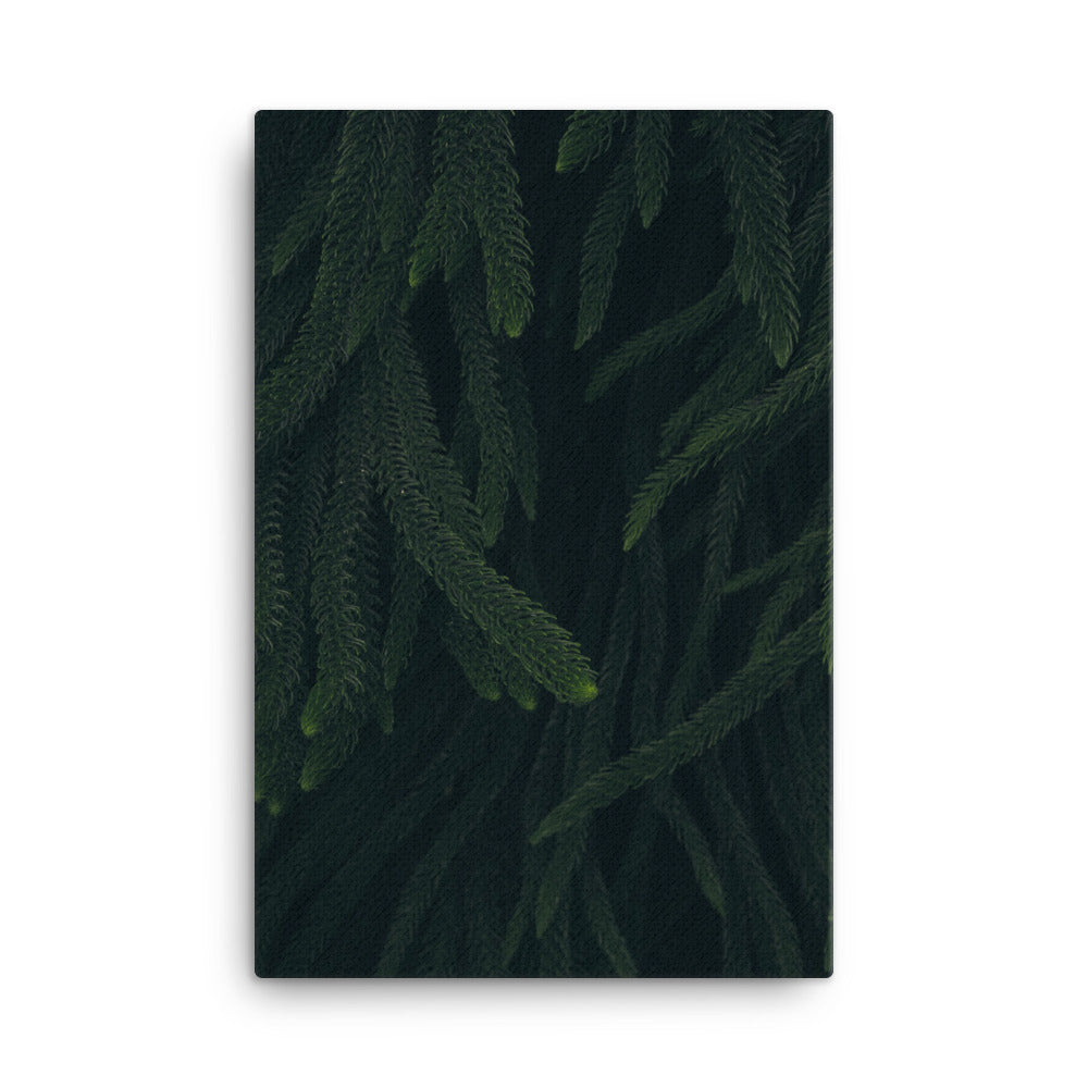 Deep woods Canvas print
