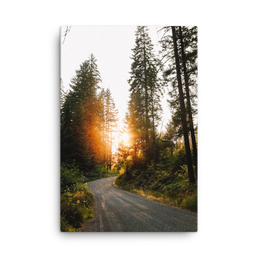 Summer Road Canvas