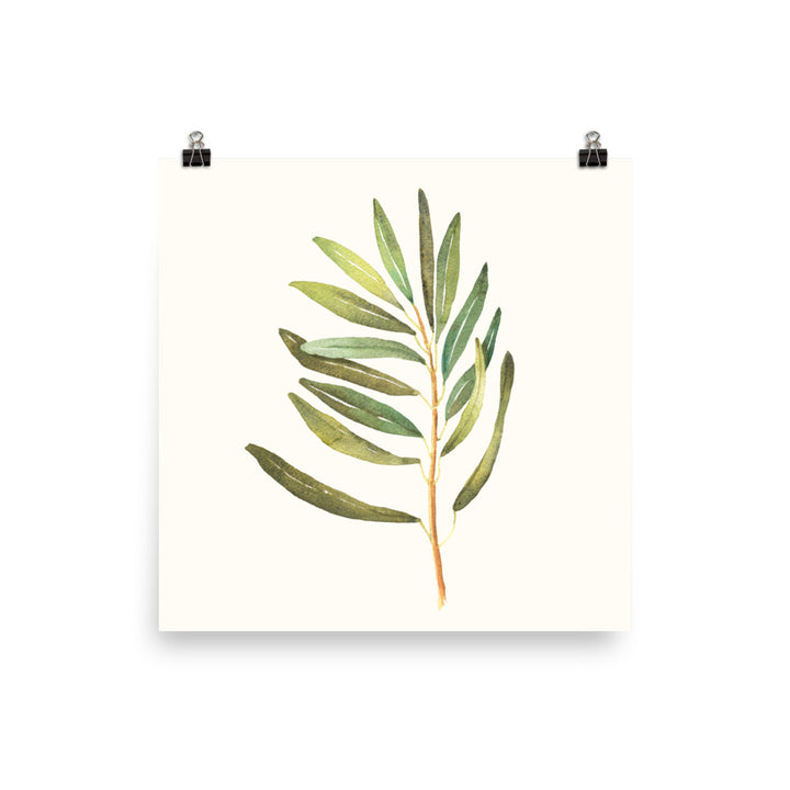 Palm Poster