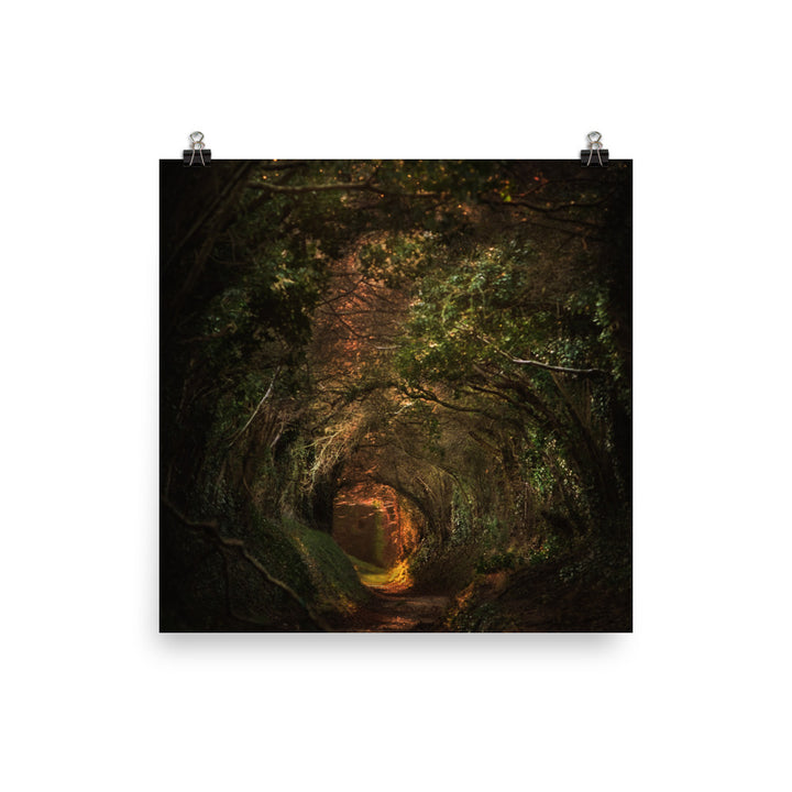 Into The Forest Poster
