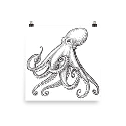 Octopus poster