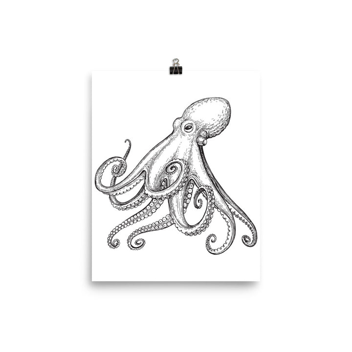 Octopus poster